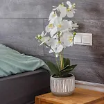 Apartmán In Essen-city Essen