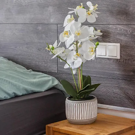 Lägenhet In Essen-city Essen