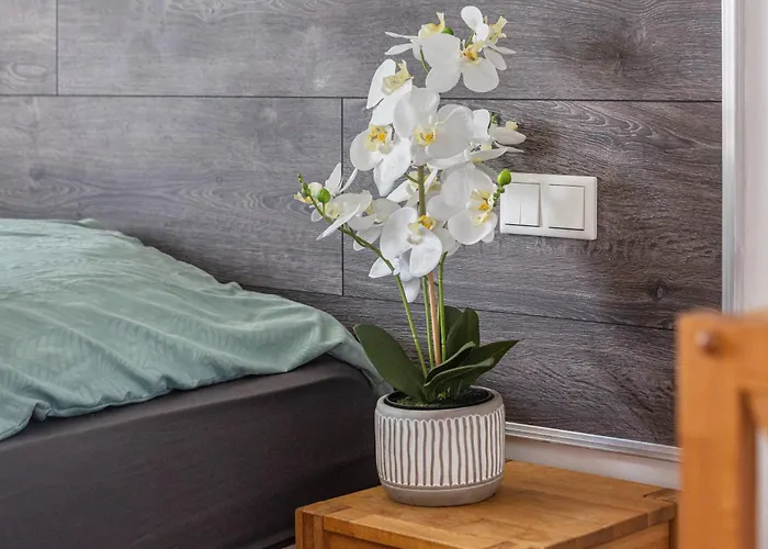 Apartmán In Essen-city Essen